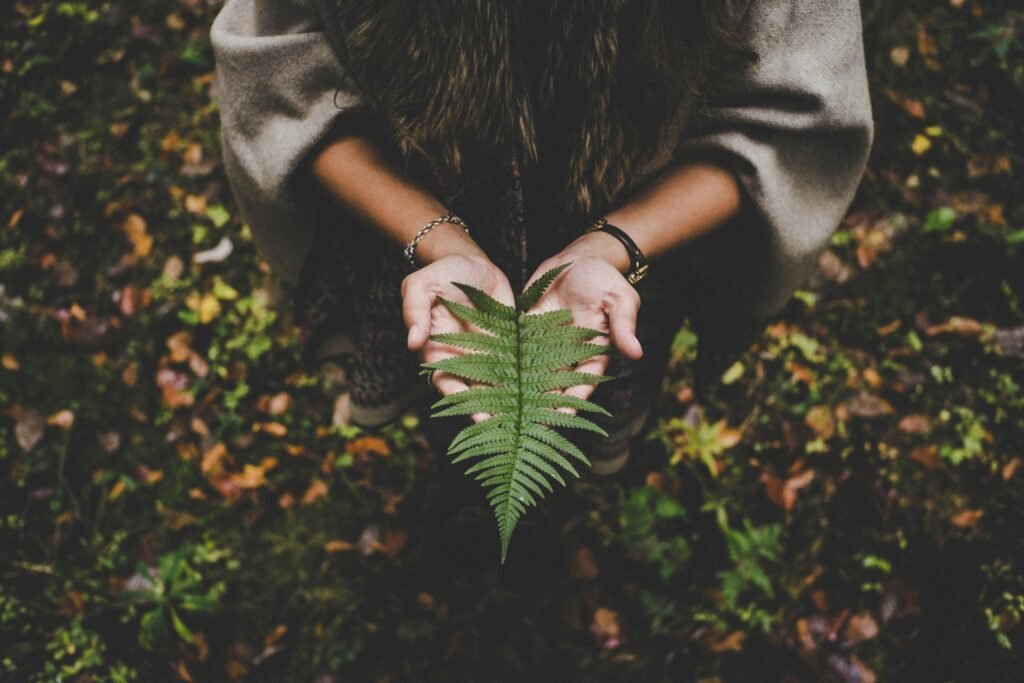 Contato com a natureza